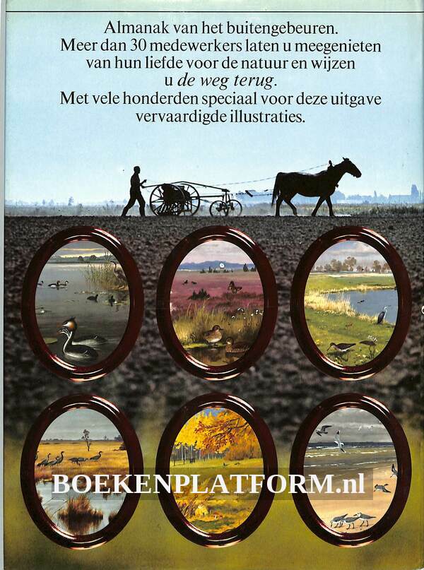 De 12 Maanden het jaar | BoekenPlatform.nl