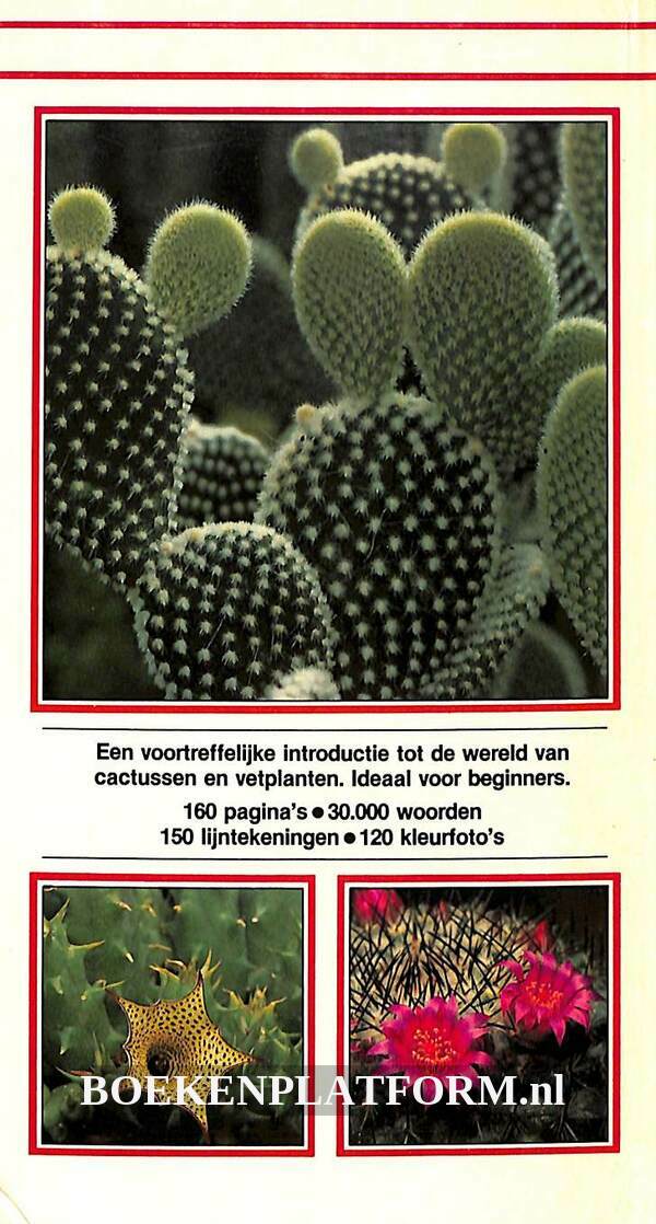 Cactussen En Vetplanten BoekenPlatform Nl