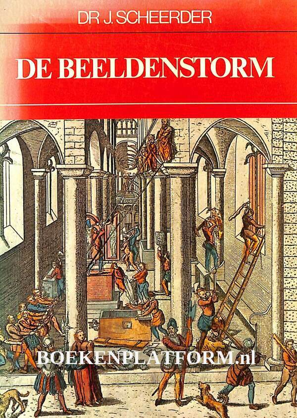 De Beeldenstorm | BoekenPlatform.nl