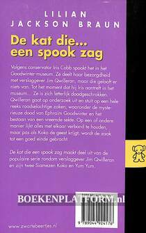 2417 De kat die een spook zag