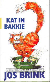 Kat in bakkie