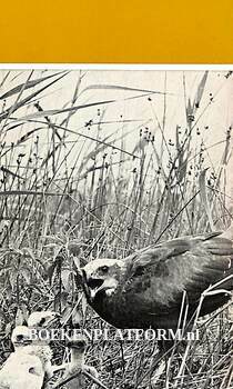 Vogels van het Zwanenwater