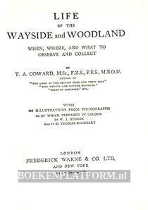 Life of the Wayside & Woodland
