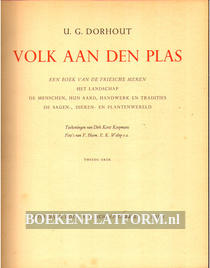 Volk aan den plas