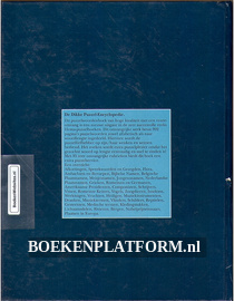 De Dikke puzzel- encyclopedie