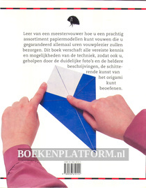Spectaculaire Origami-ideeën
