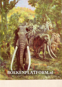 Das Buch von den Mammuten