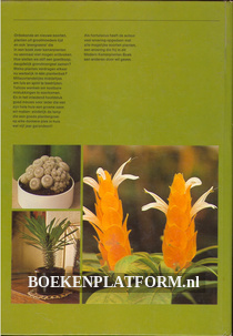 Modern kamerplantenboek