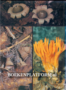 All Colourbook of Mushrooms and Fungi