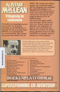 Vliegtuig in vlammen