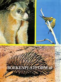 Unique Animals & Birds of Australia