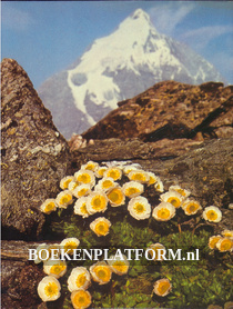 Das Goldene Buch der Alpenblumen