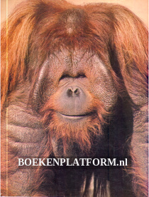 Colorful World of Animals