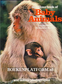 All Colour book of Baby Animals
