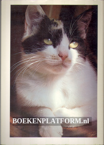 Uw poes in kruissteek