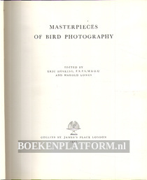 Masterpieces of Bird Photography