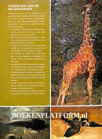 Wonderen van de reuzendieren