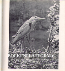 Fotoboek over vogels