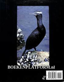 Cormorants, Darters, and Pelicans of the World