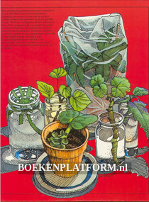 Groot Margriet Kamerplantenboek