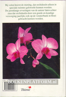 Orchideeën als kamerplanten