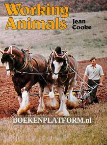 Working Animals