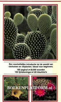 Cactussen en Vetplanten