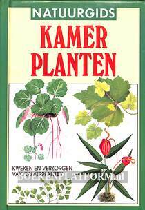 Kamerplanten