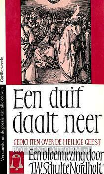 Een duif daalt neer