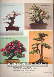 Bonsai, minature potted trees