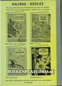 Kleine tuinen