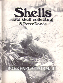 Shells and shell collecting