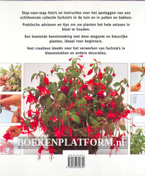 Beeldgids voor Fuchsia's