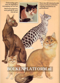 Het boek van de Kat