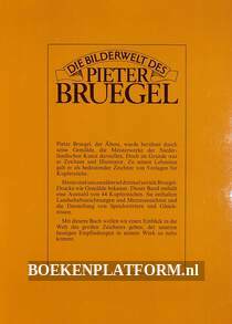 Die Bilderwelt des Pieter Bruegel