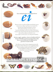 Ei een verhaal in foto's over nieuw leven