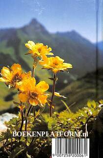 Zauberhafte Alpenblumen