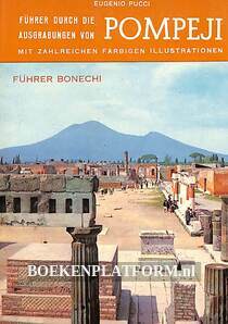 Führer duch die Ausgrabung von Pompeji