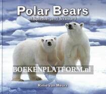 Polar Bears of Spitsbergen