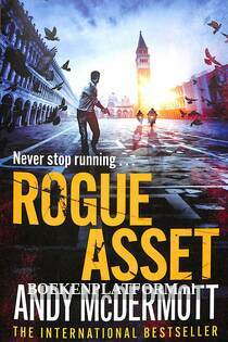 Rogue Asset