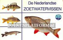 De Nederlandse zoetwatervissen