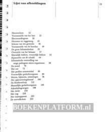 Medische Terminologie