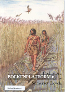 Prehistory of the Somerset Levels