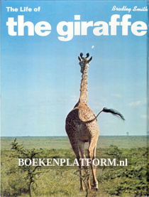 The Life of the Giraffe