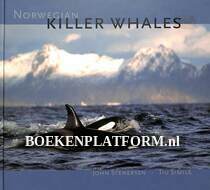 Norwegian Killer Whales