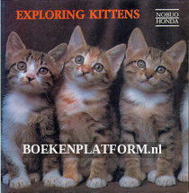 Exploring Kittens