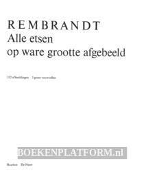 Alle etsen van Rembrandt afgebeeld opware grootte