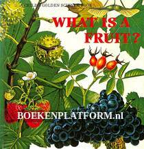 What is a Fruit?