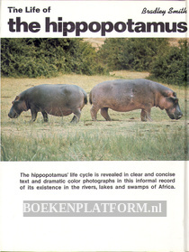 The Life of the Hippopotamus