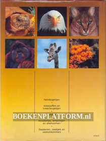 De geheimen van het dierenrijk, ongewervelden 6